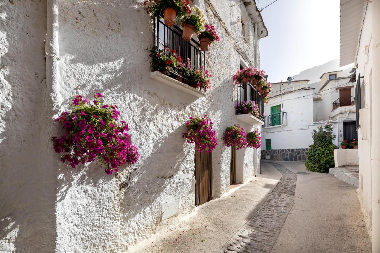Casa Rural El Fuerte De Atabuey Trevélez المظهر الخارجي الصورة